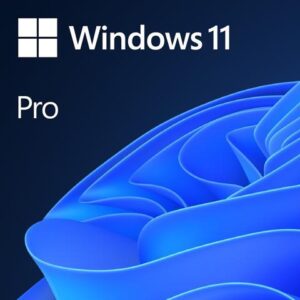 Microsoft Windows 11 Pro 64-bit